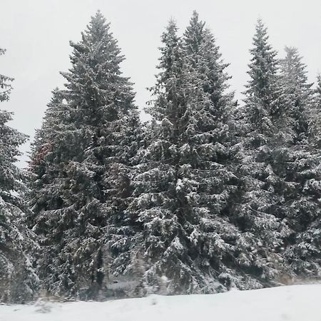Apartmani Sorak Kopaonik, Studio Apartman A10 Esterno foto